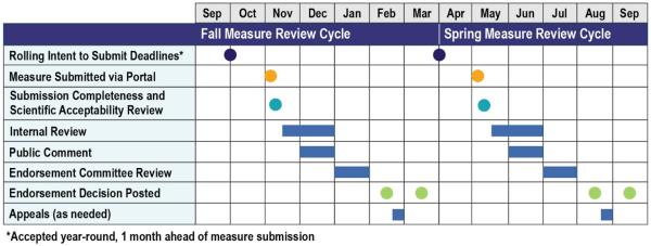 The CMS CBE 6-month endorsement review process graphic